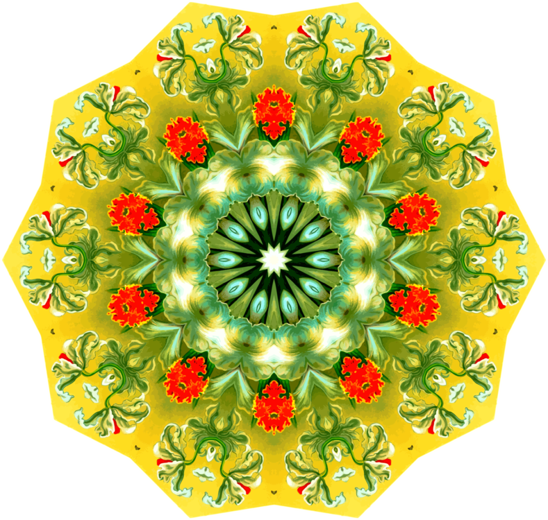 Flower,Symmetry,Color