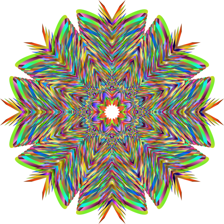 Flower,Symmetry,Line