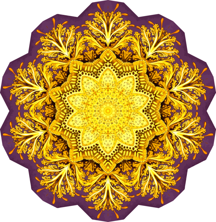 Circle,Symmetry,Yellow