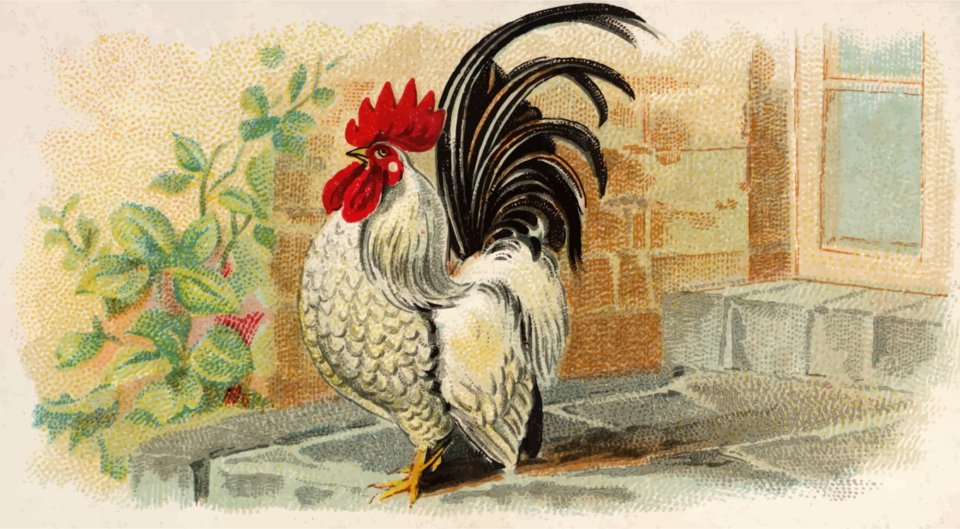 Poultry,Watercolor Paint,Art