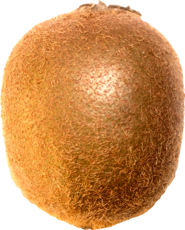 Fruit,Kiwifruit,Download