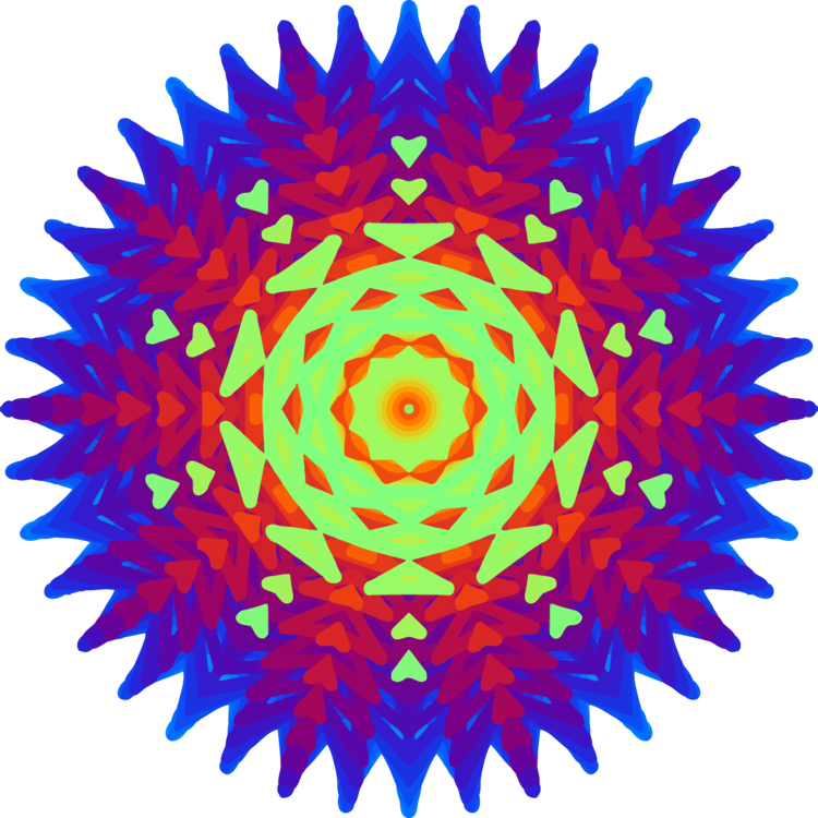 Flower,Symmetry,Circle