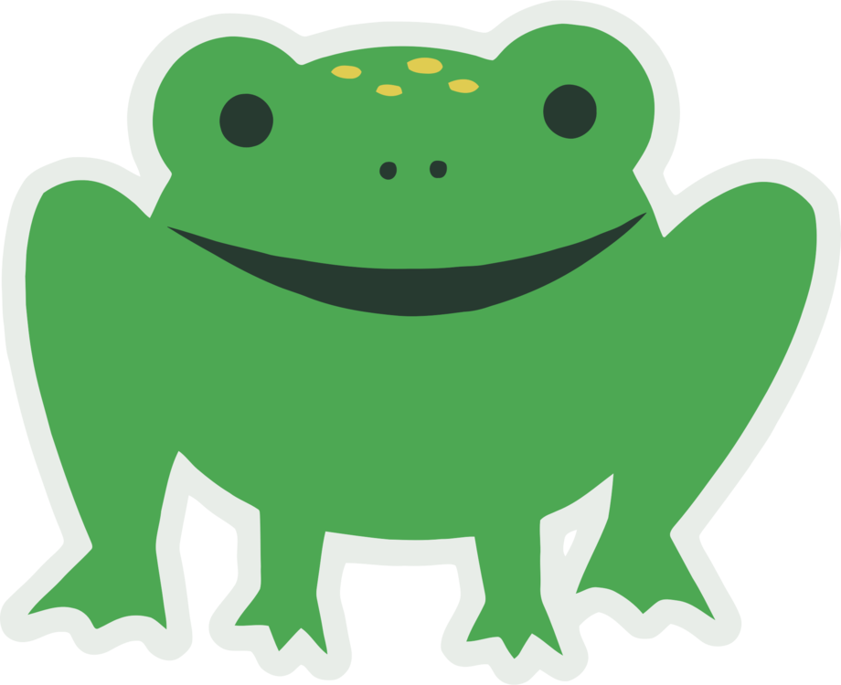 Tree Frog,Toad,Vertebrate