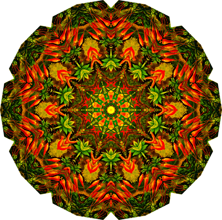 Leaf,Symmetry,Kaleidoscope