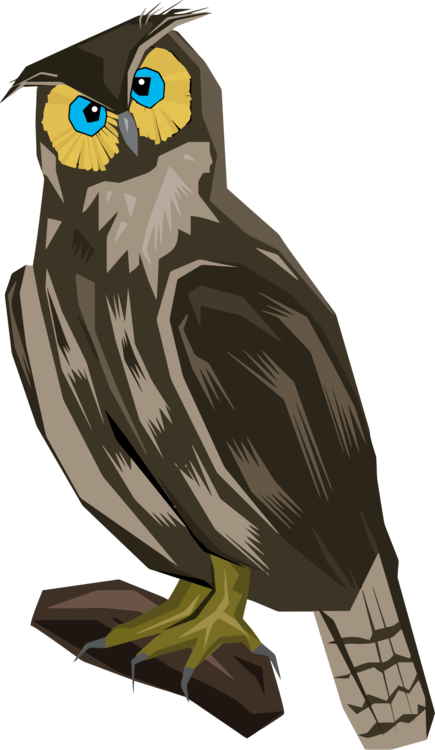 Owl,Eagle,Wing