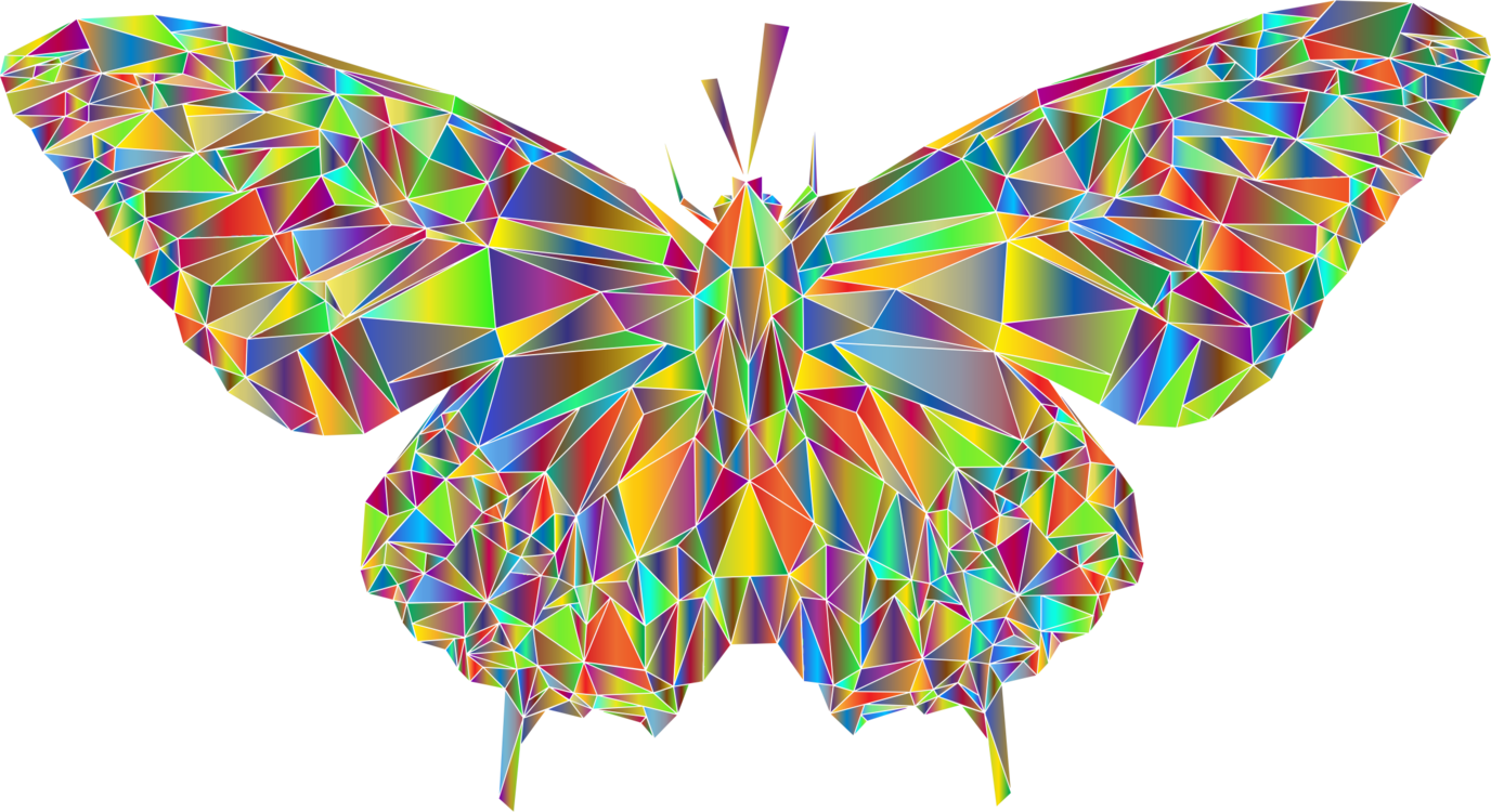 Butterfly,Art Paper,Symmetry