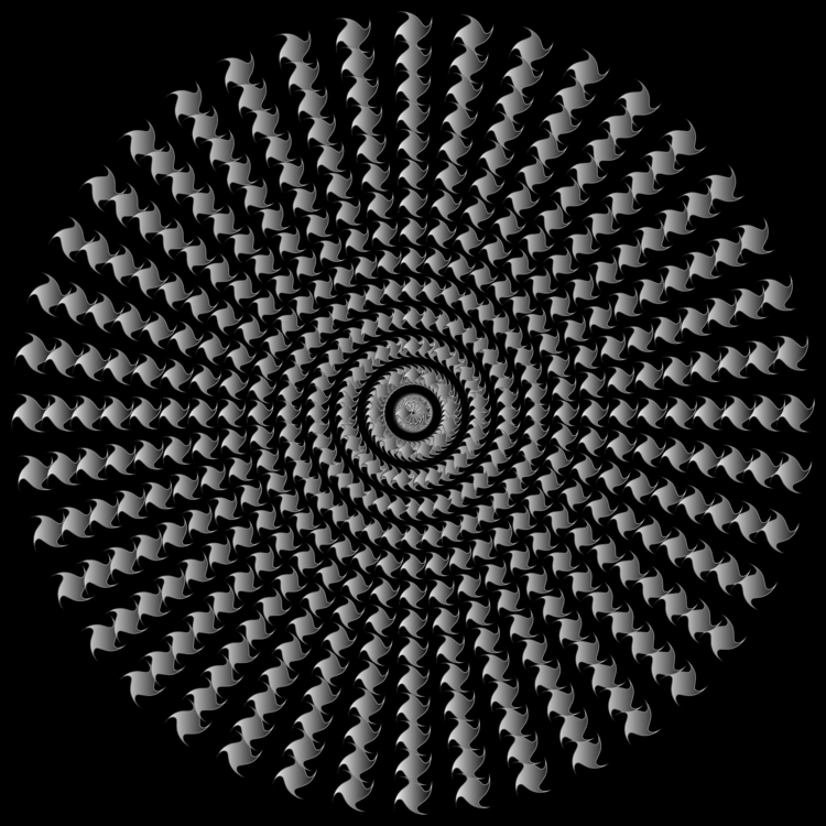 Download Symmetry Monochrome Photography Spiral Png Clipart Royalty Free Svg Png