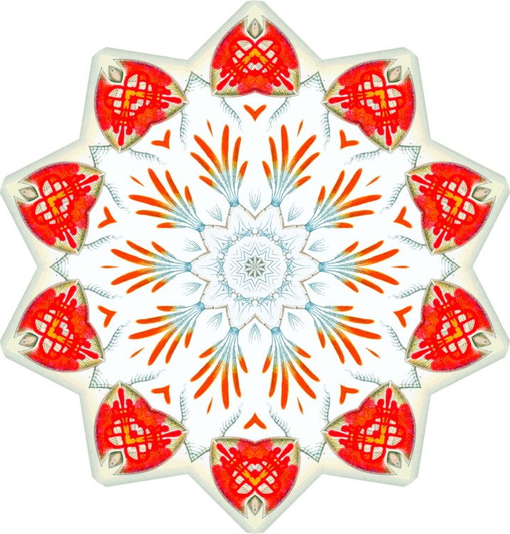 Flower,Christmas Ornament,Symmetry