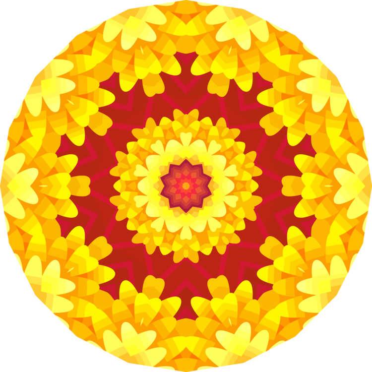 Flower,Symmetry,Sunflower