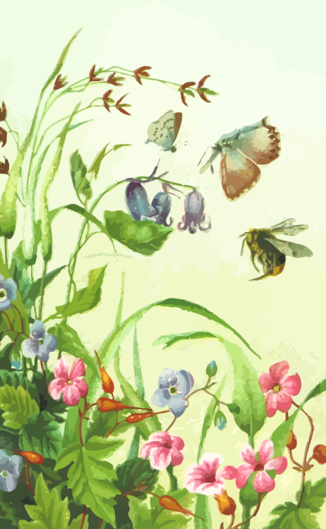 Butterfly,Watercolor Paint,Flora