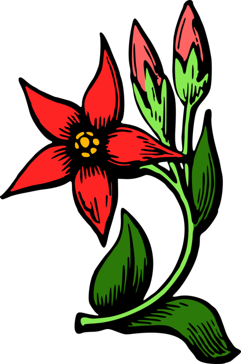 Plant,Flora,Fictional Character