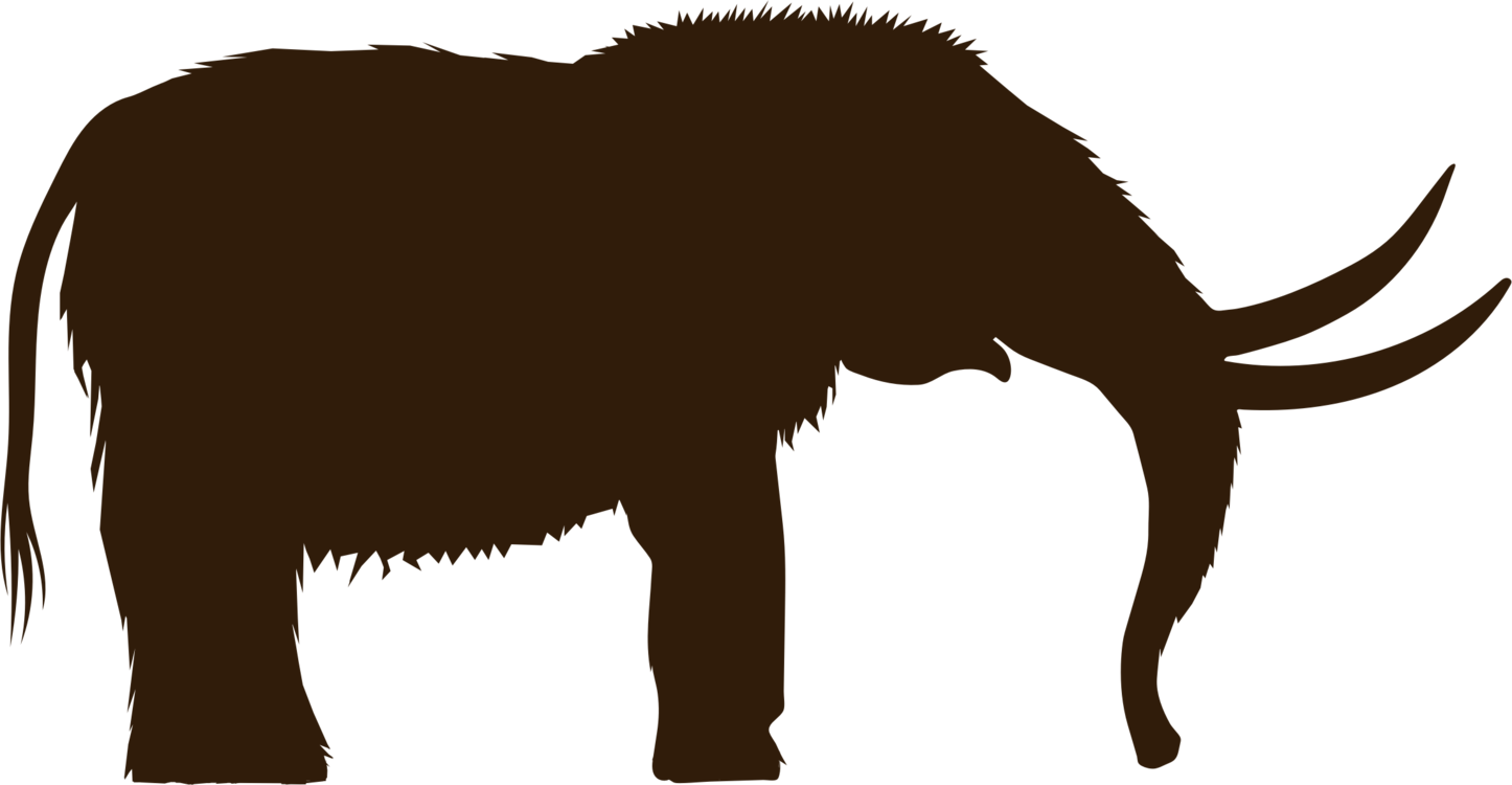 Carnivoran,Horn,Indian Elephant