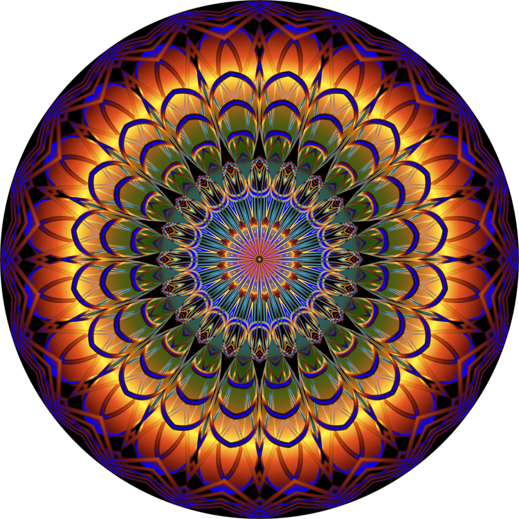Flower,Symmetry,Spiral