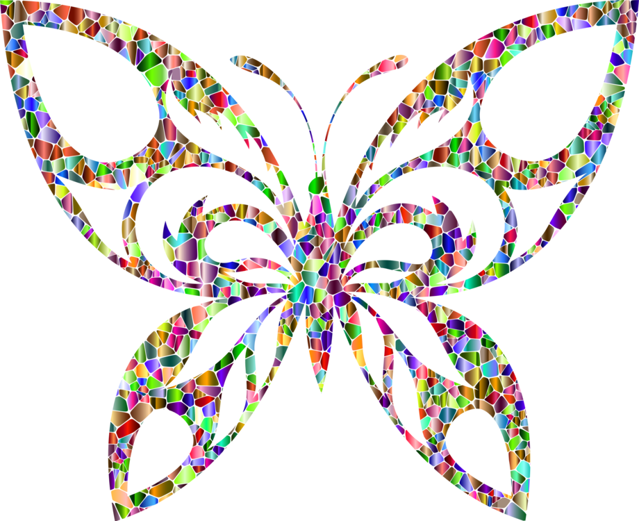 Butterfly,Symmetry,Wing