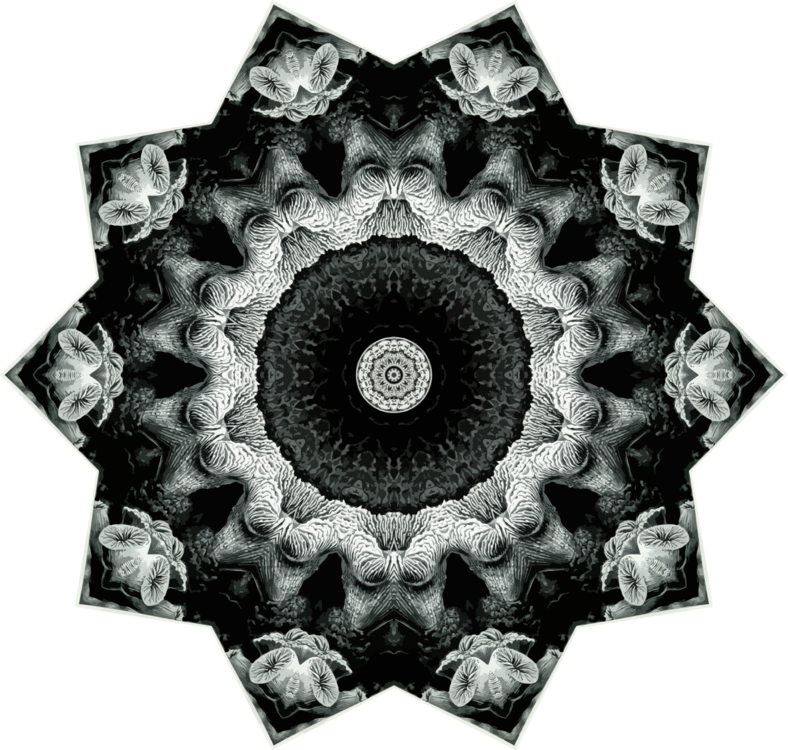 Symmetry,Monochrome Photography,Monochrome