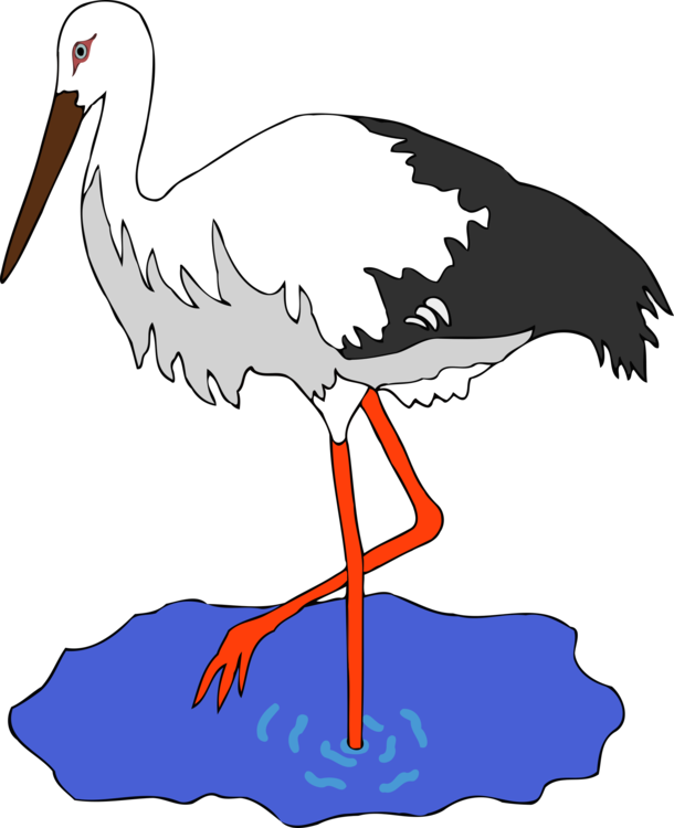 Line Art,Seabird,Water Bird