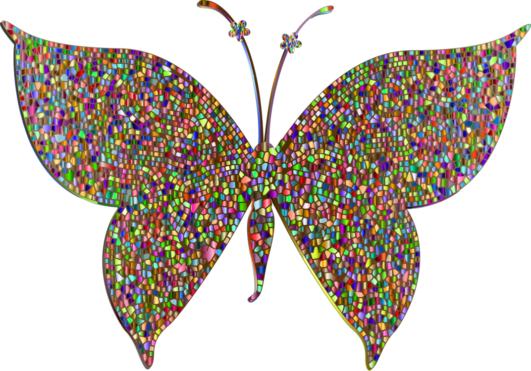 Butterfly,Leaf,Symmetry