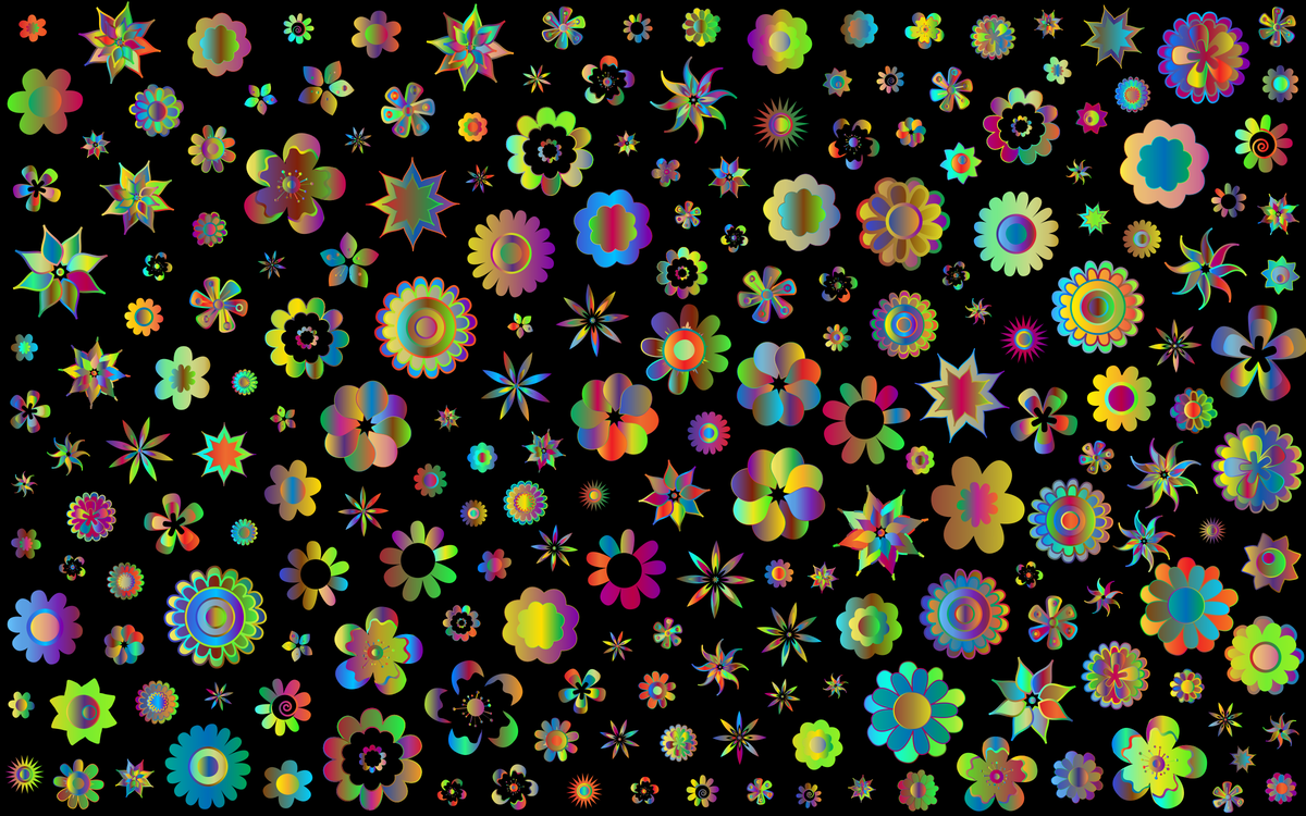 Flora,Symmetry,Computer Wallpaper