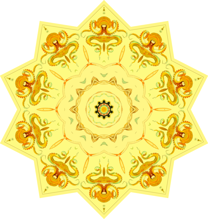Flower,Symmetry,Material