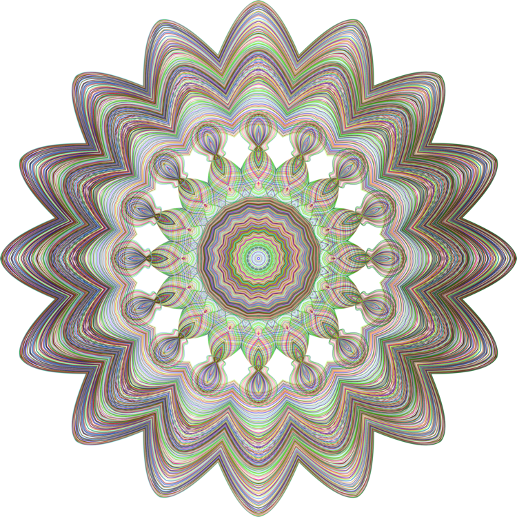Circle,Flower,Symmetry