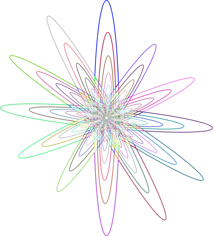 Flower,Symmetry,Circle