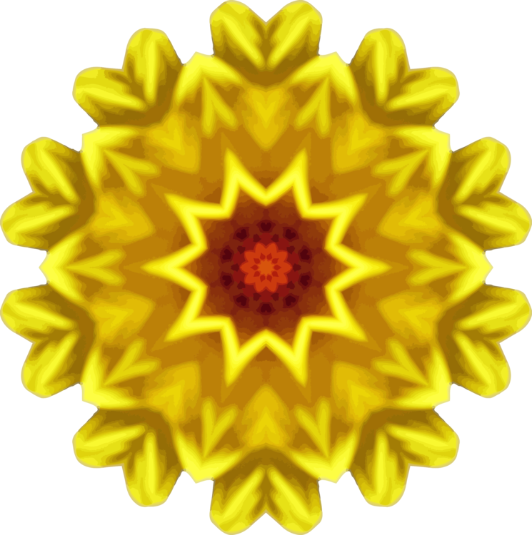 Chrysanths,Flower,Symmetry