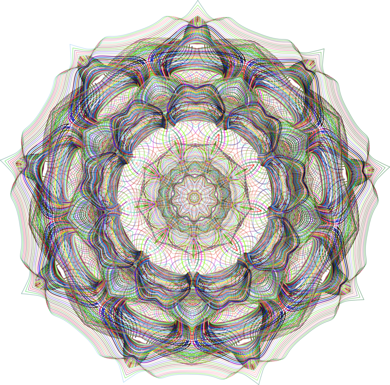 Symmetry,Circle,Organism