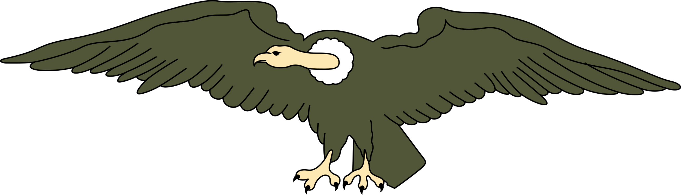 Eagle,Wildlife,Fictional Character