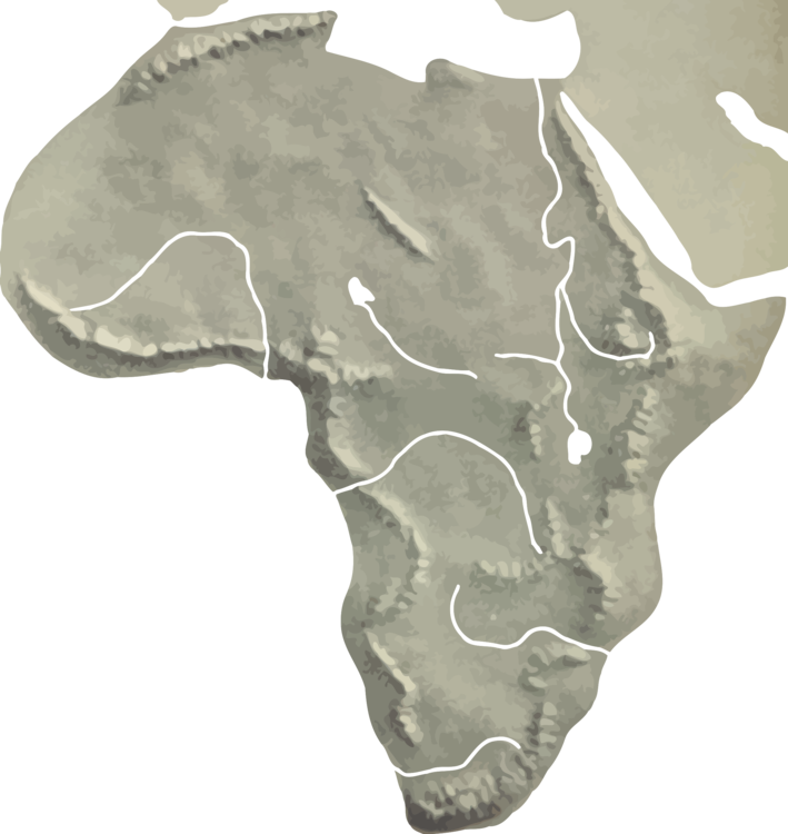 Jaw,Artifact,Africa
