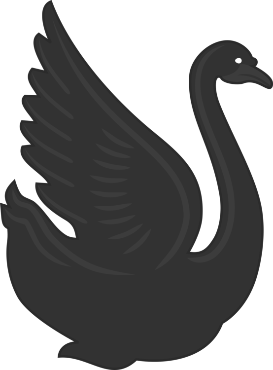 Swan,Water Bird,Beak