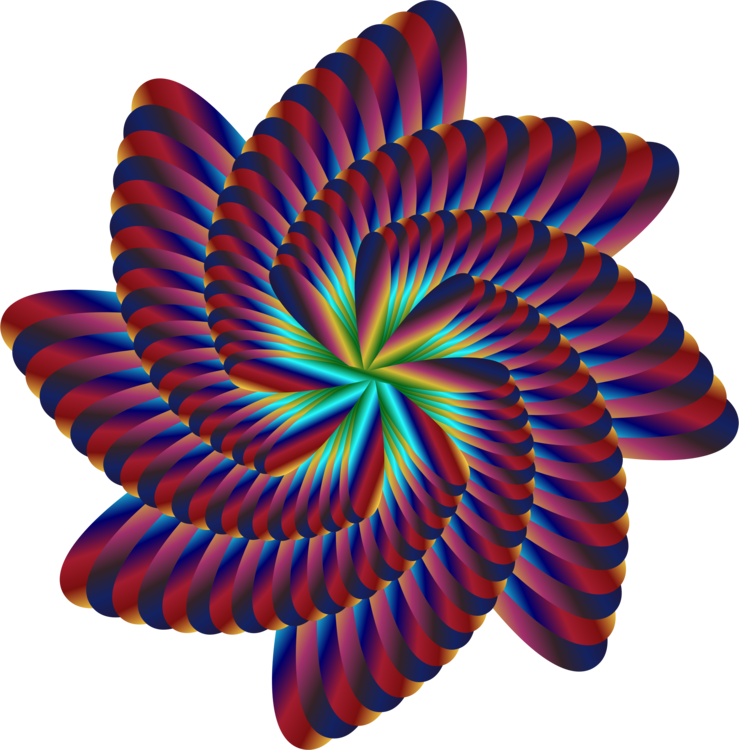 Petal,Spiral,Symmetry