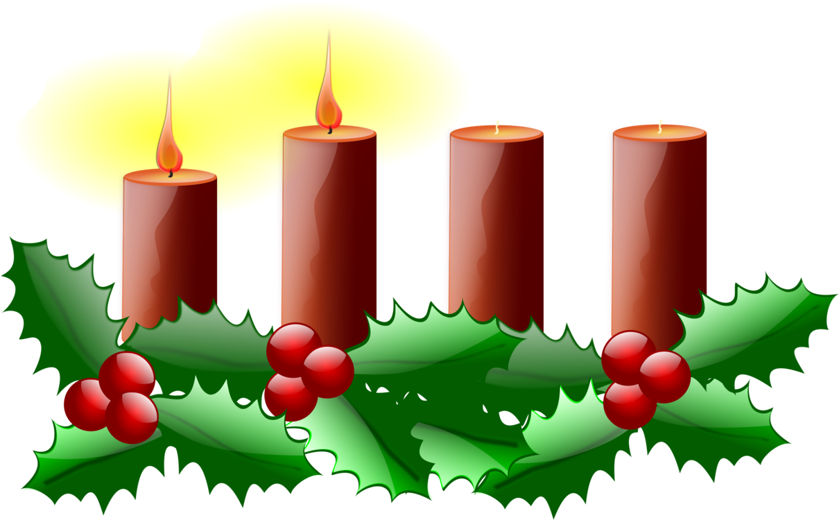 Fir,Christmas Ornament,Tree