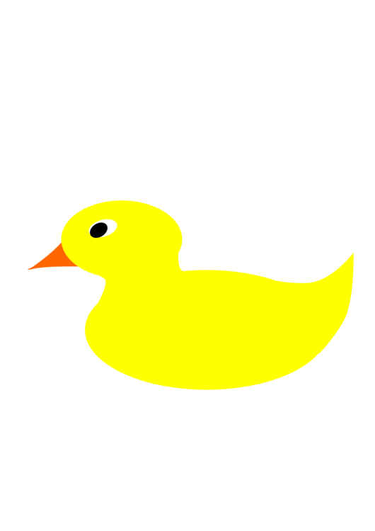 Water Bird,Duck,Yellow