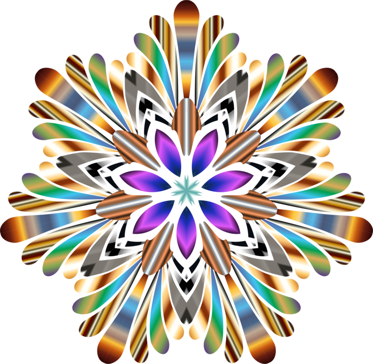 Petal,Flower,Symmetry