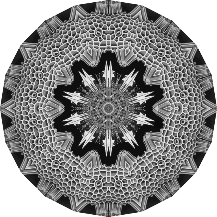 Wheel,Visual Arts,Symmetry