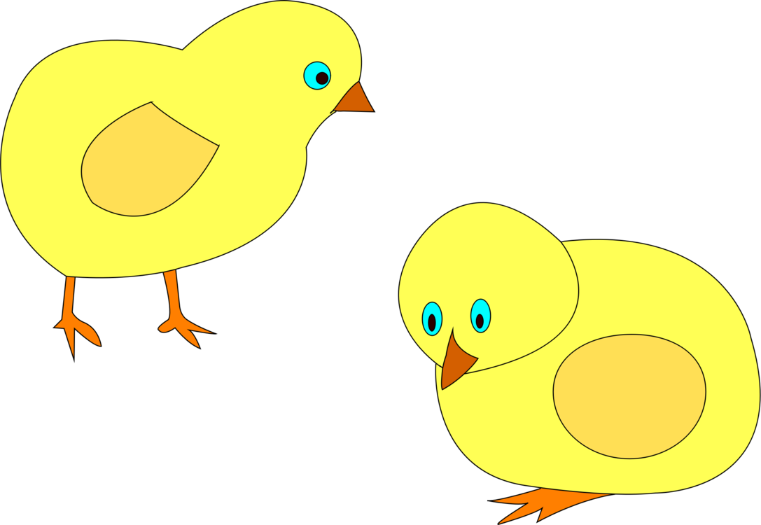 Duck,Water Bird,Yellow