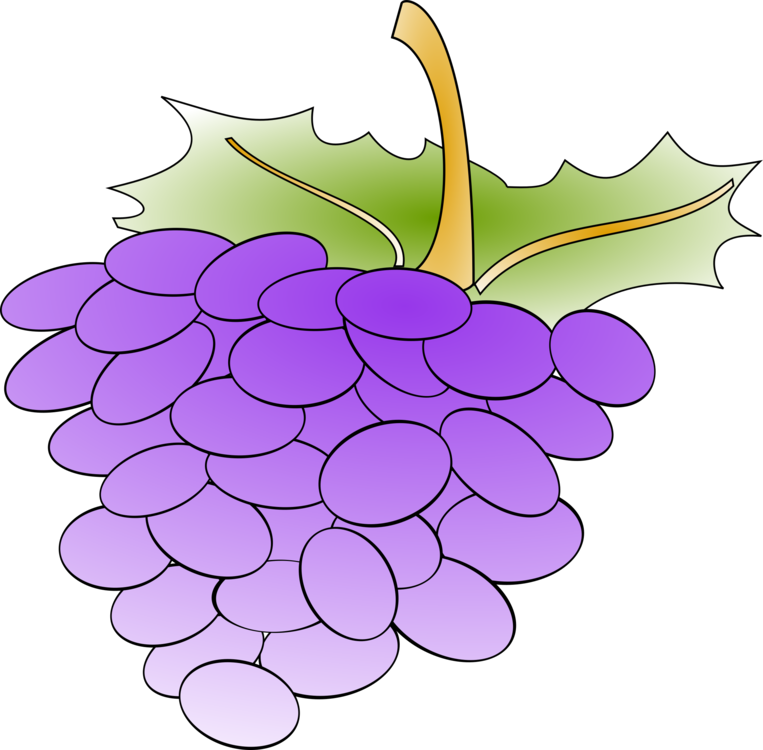 Plant,Flower,Grape