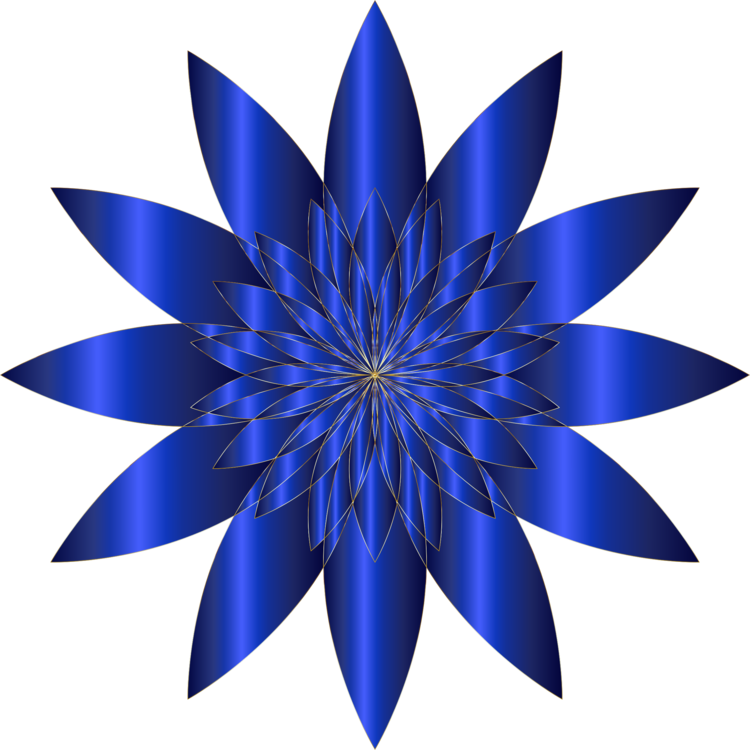 Blue,Plant,Flower