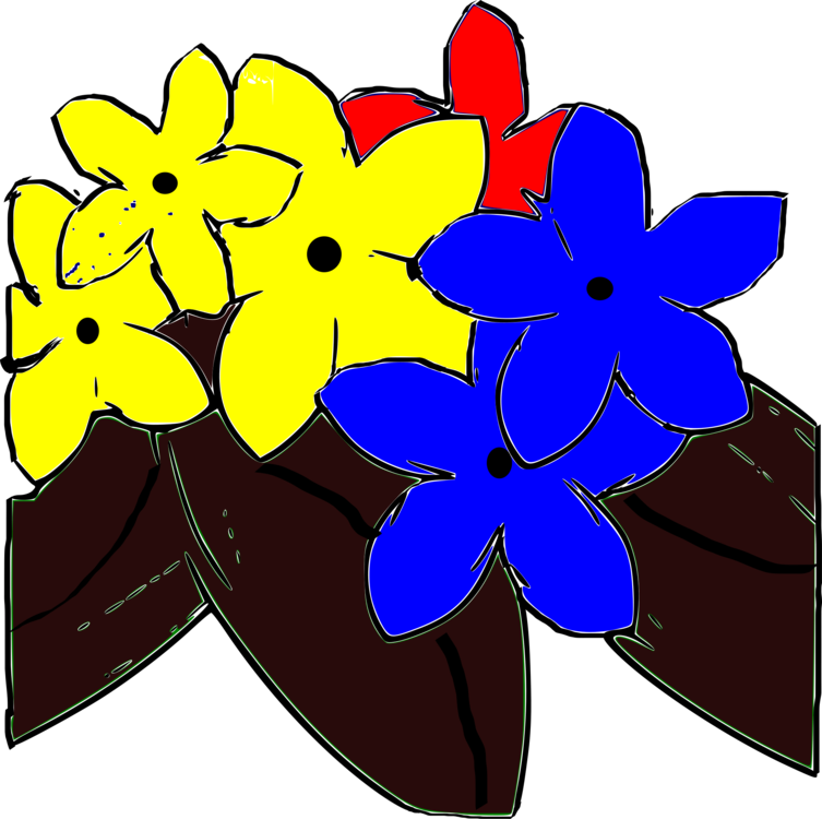 Plant,Flora,Symmetry
