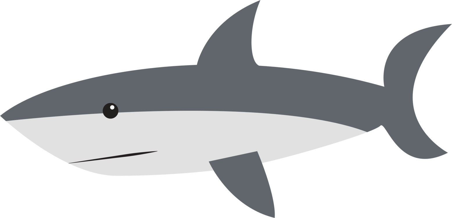Marine Biology,Shark,Angle
