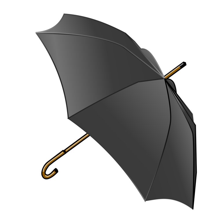 Umbrella,Fashion Accessory,Black