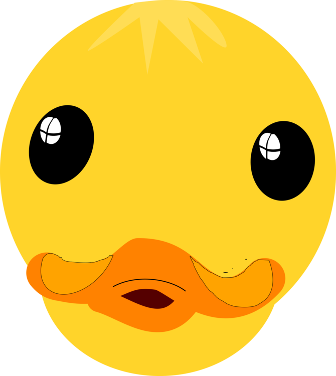donald duck duck face