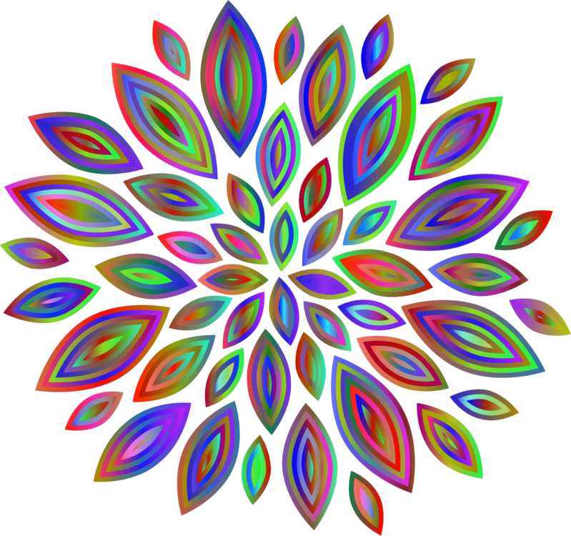 Flower,Leaf,Symmetry