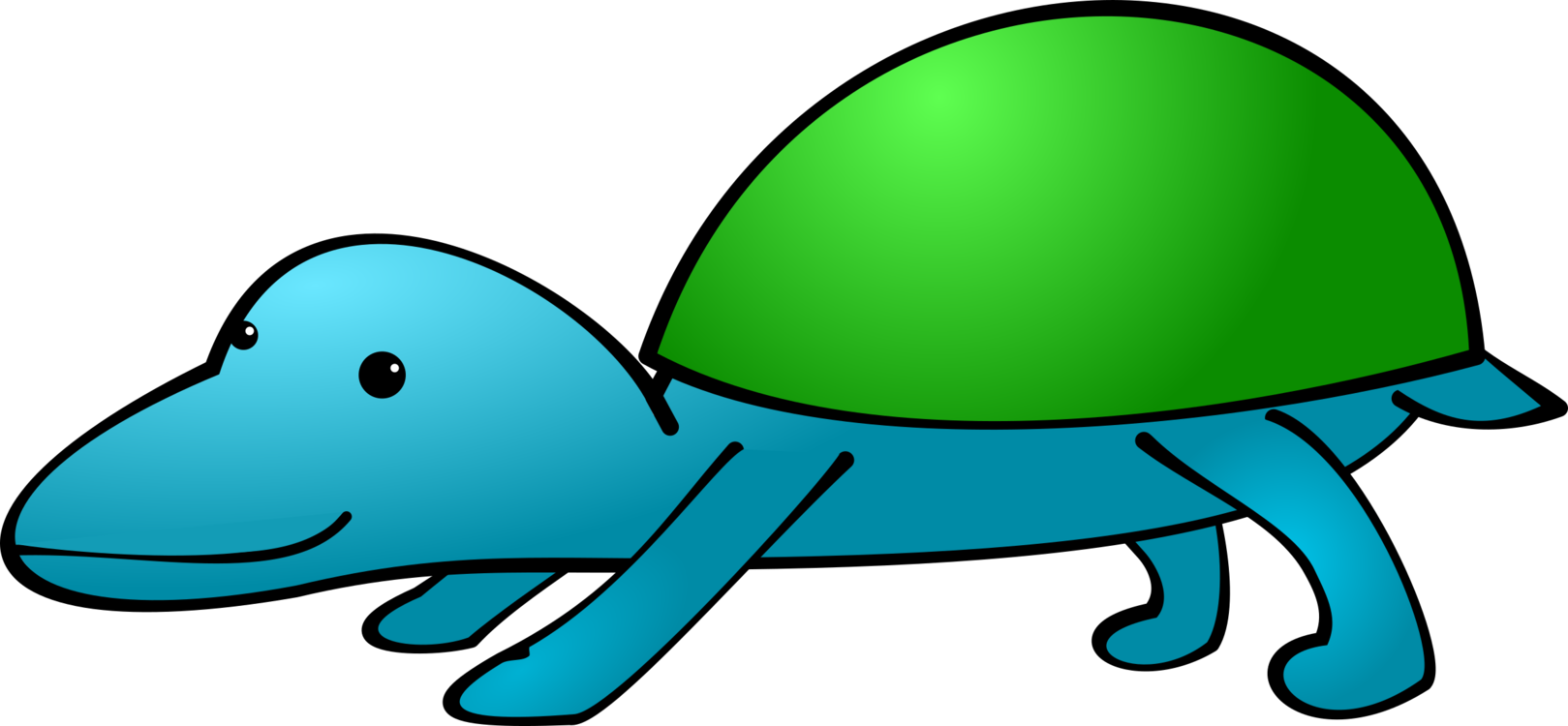 Turtle,Reptile,Grass