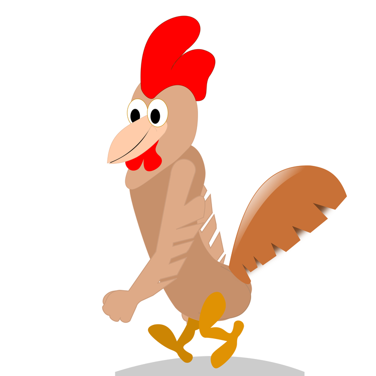Poultry,Vertebrate,Tail