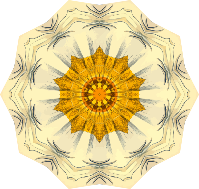 Flower,Sunflower,Petal