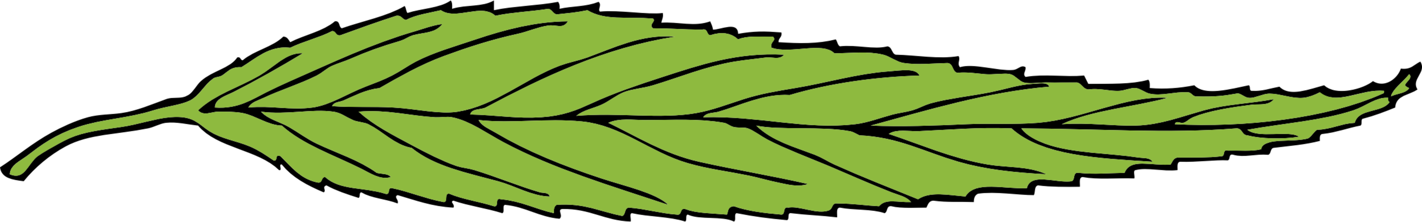 Plant,Leaf,Artwork