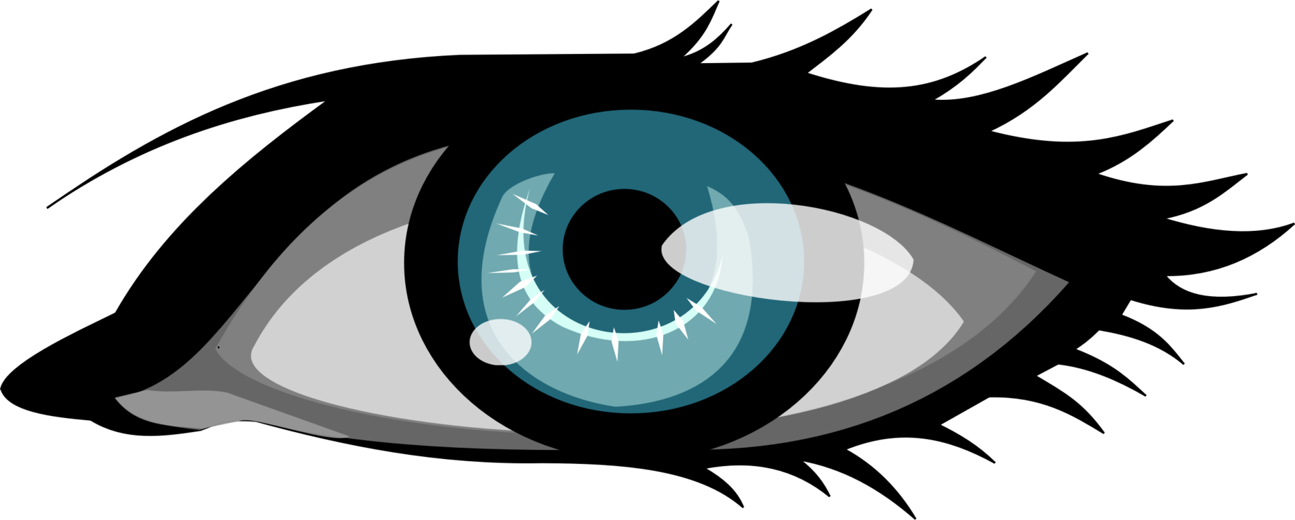 Eye,Organ,Symbol