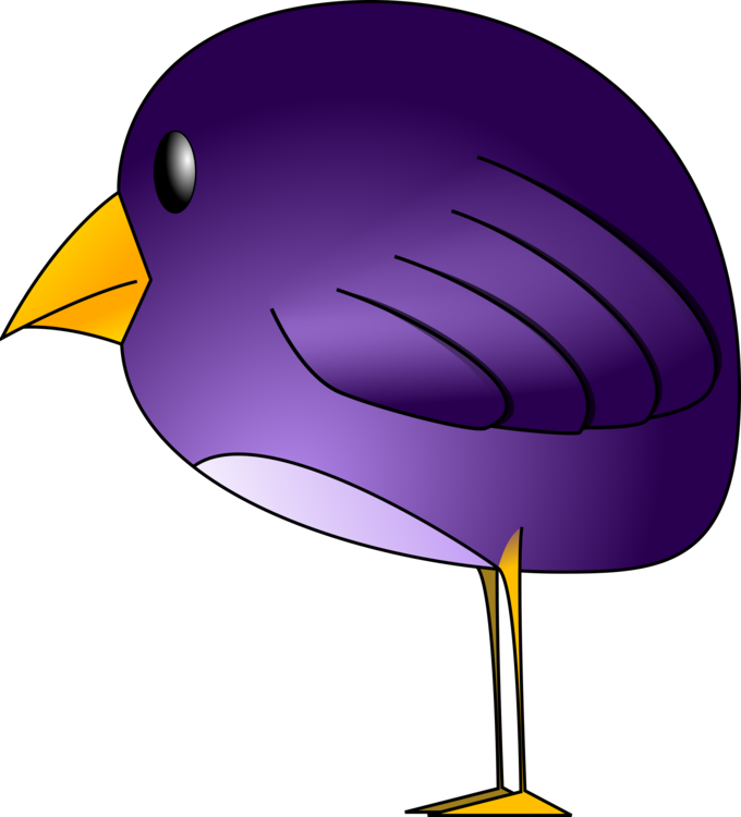 Flightless Bird,Water Bird,Purple