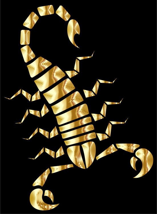 Gold,Scorpion,Invertebrate